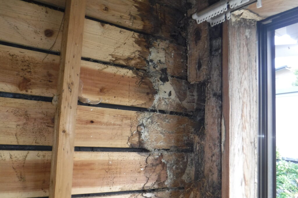 福岡市城南区で白蟻被害があった木造の家の白蟻駆除をしている施行中の画像。