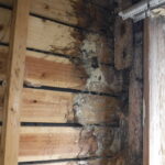 福岡市城南区で白蟻被害があった木造の家の白蟻駆除をしている施行中の画像。