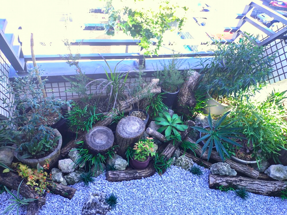 人工芝からロックガーデン(坪庭)にリフォームした施工後の画像