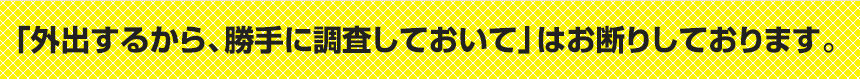 「外出するから勝手に調査しておいて」はお断りしております。