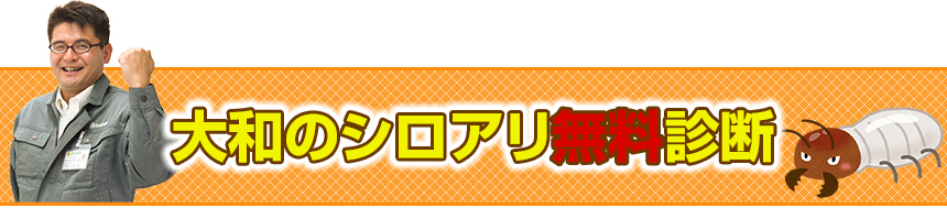 大和のシロアリ無料診断